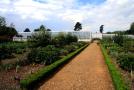 gal/holiday/Audley End House and Gardens - 2008/_thb_Kitchen Garden_IMG_3425.jpg